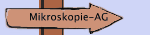 Mikroskopie-AG